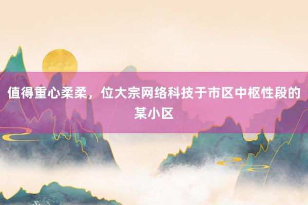 值得重心柔柔，位大宗网络科技于市区中枢性段的某小区