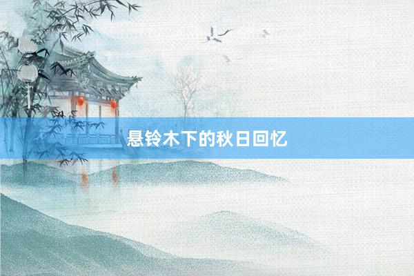 悬铃木下的秋日回忆