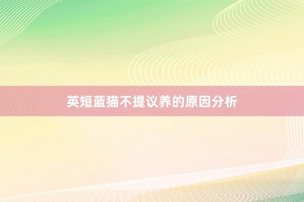 英短蓝猫不提议养的原因分析